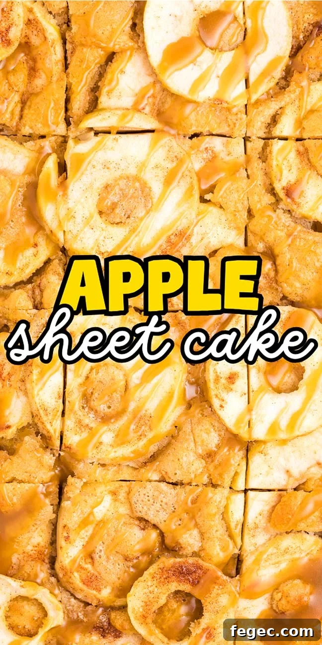 A close-up of a delicious apple sheet cake, topped with caramel drizzle and labeled "Apple sheet cake" in large, bold text across the center. The mouthwatering dessert glistens under the light.