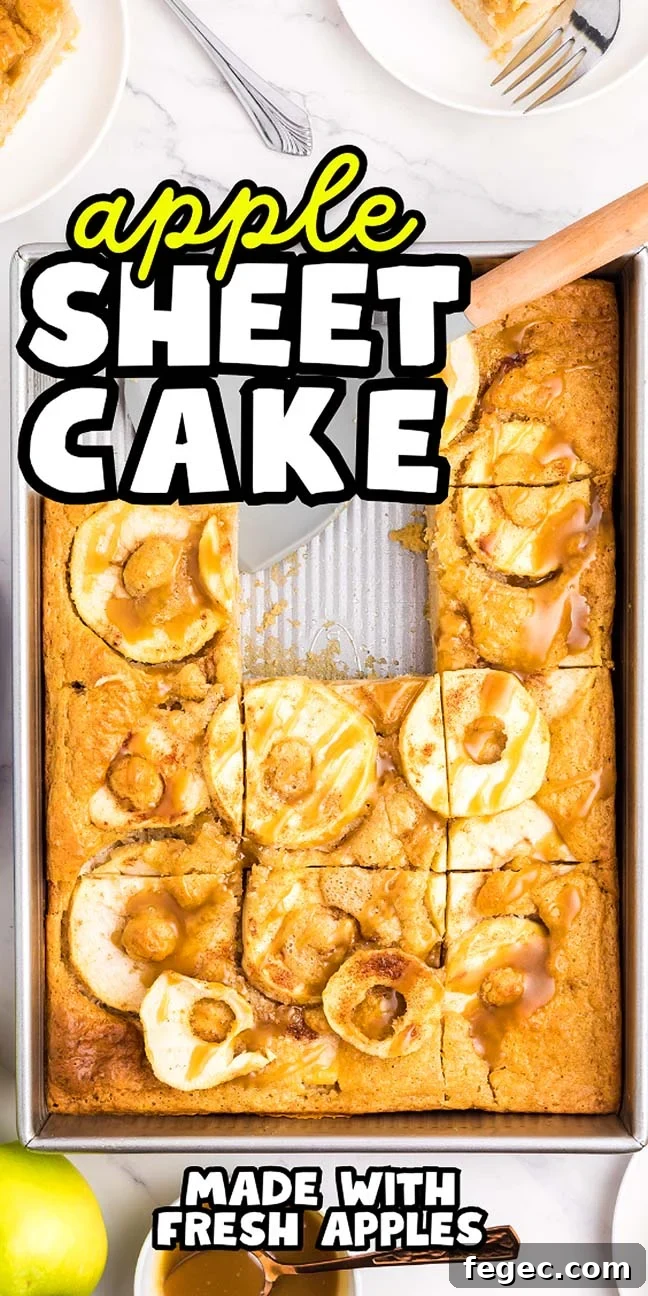 Image of an apple sheet cake in a rectangular baking pan, with one piece removed. The cake is topped with fresh apple slices and a caramel drizzle. Text reads "apple sheet cake" and "made with fresh apples.