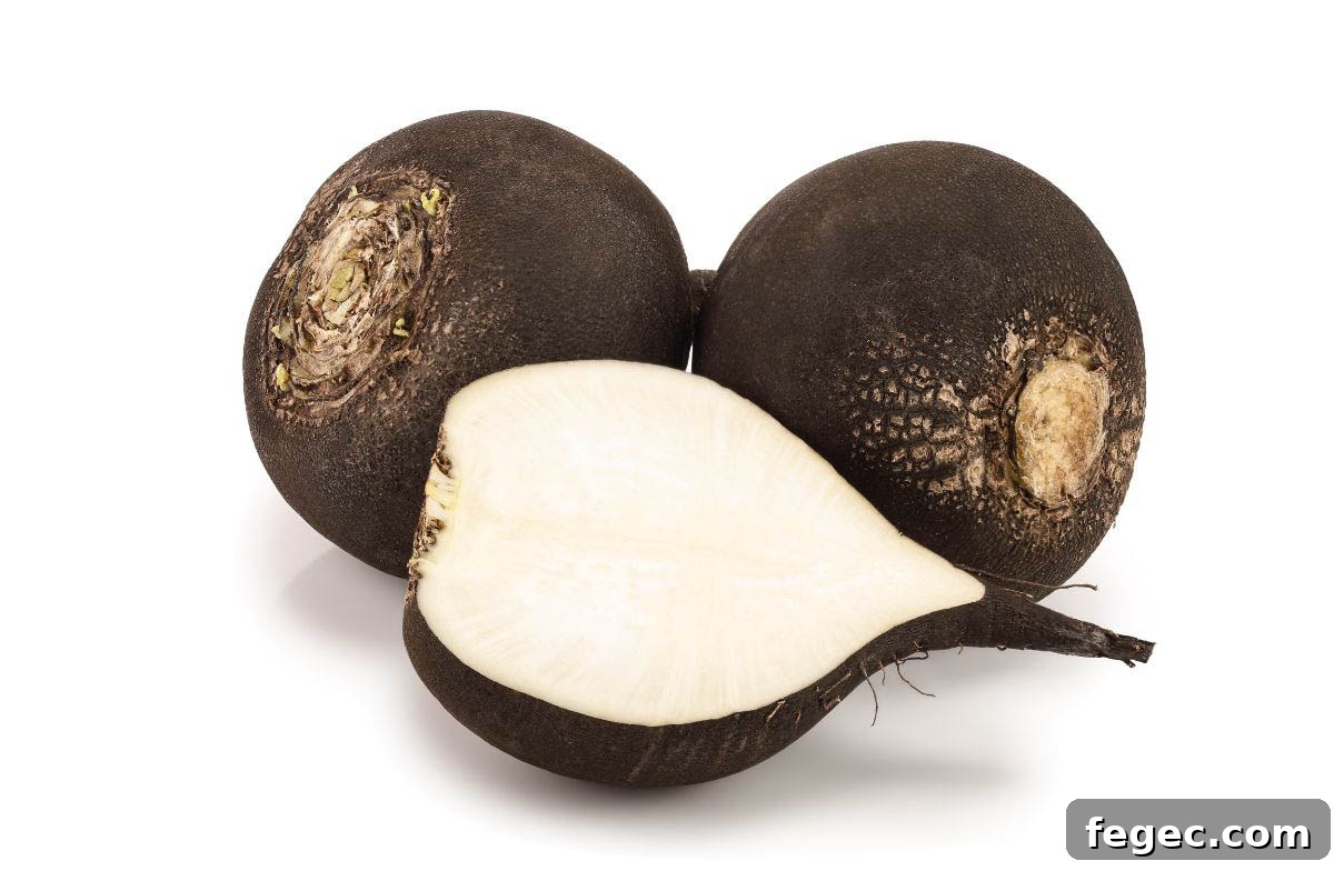 black radish