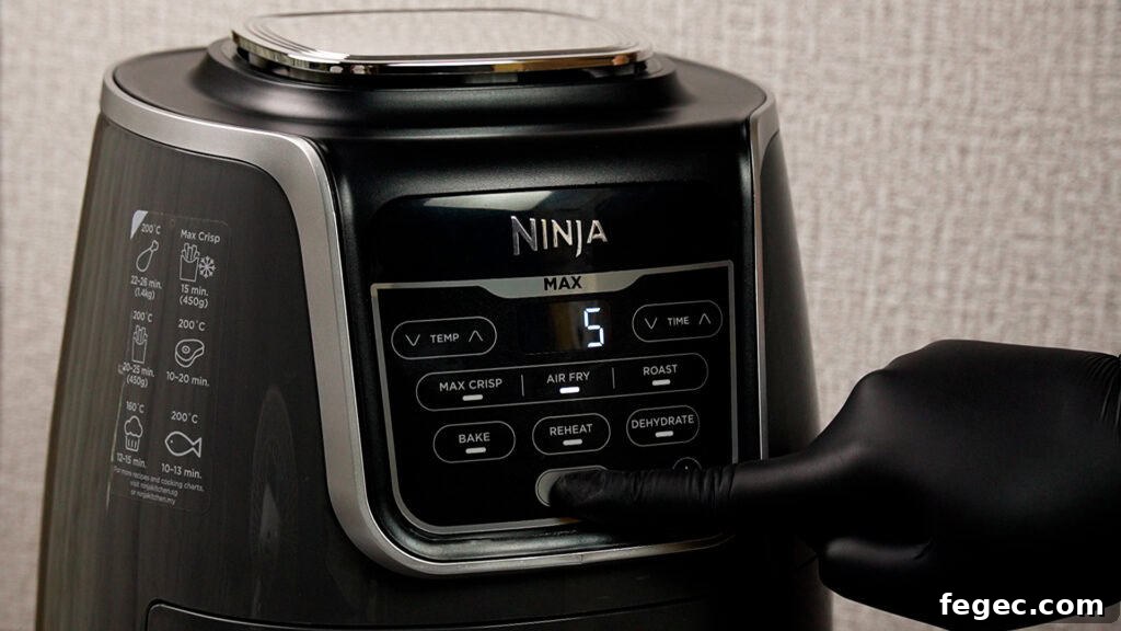 ninja air fryer