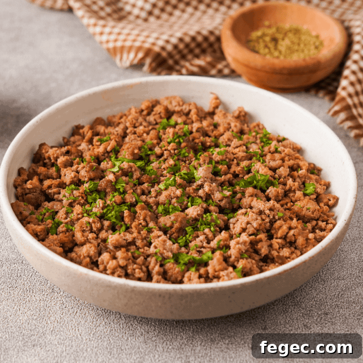Air Fryer Ground Beef