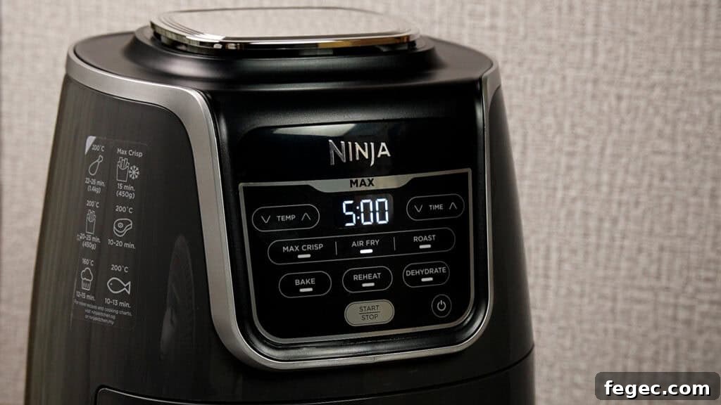 ninja air fryer