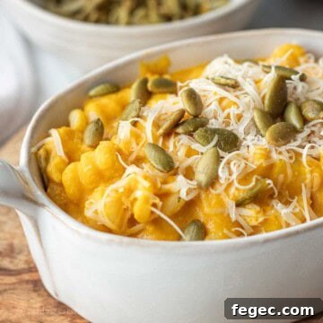 Pumpkin sauce on pasta with pepitas in bowl.