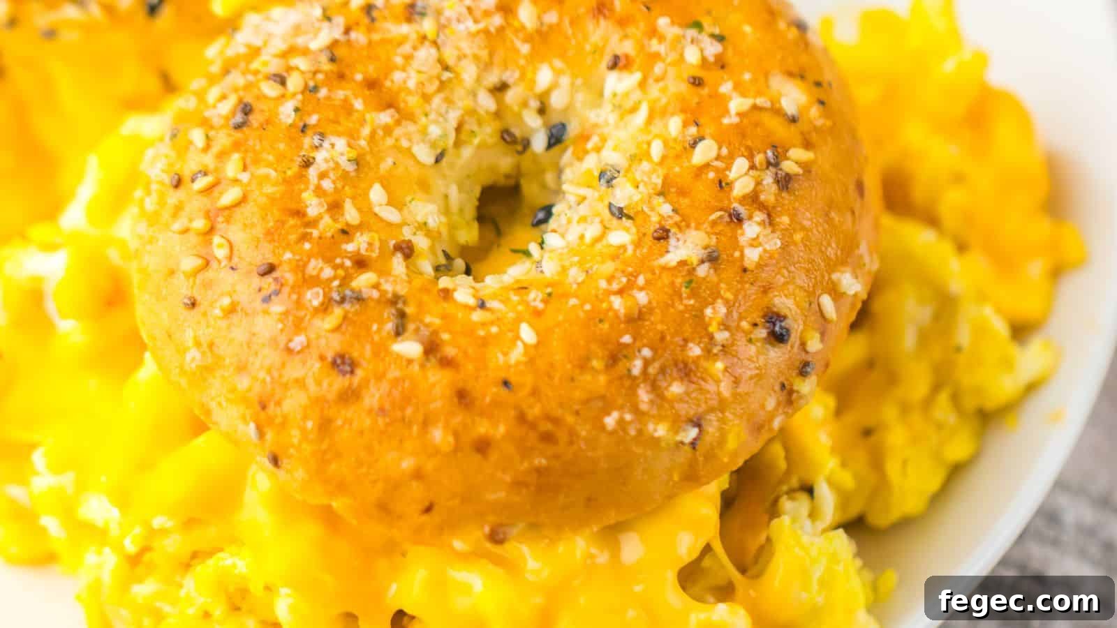 A sesame seed bagel sits on top of a serving of scrambled eggs with melted cheese on a white plate.