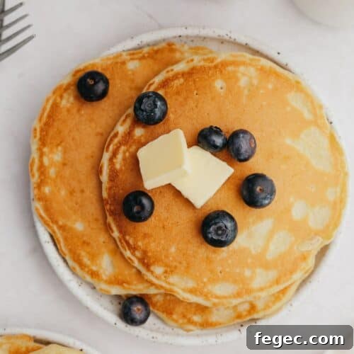 A small plate with three pancakes and blueberries.