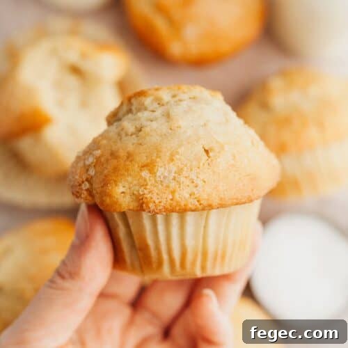 A hand holding a vanilla muffin.