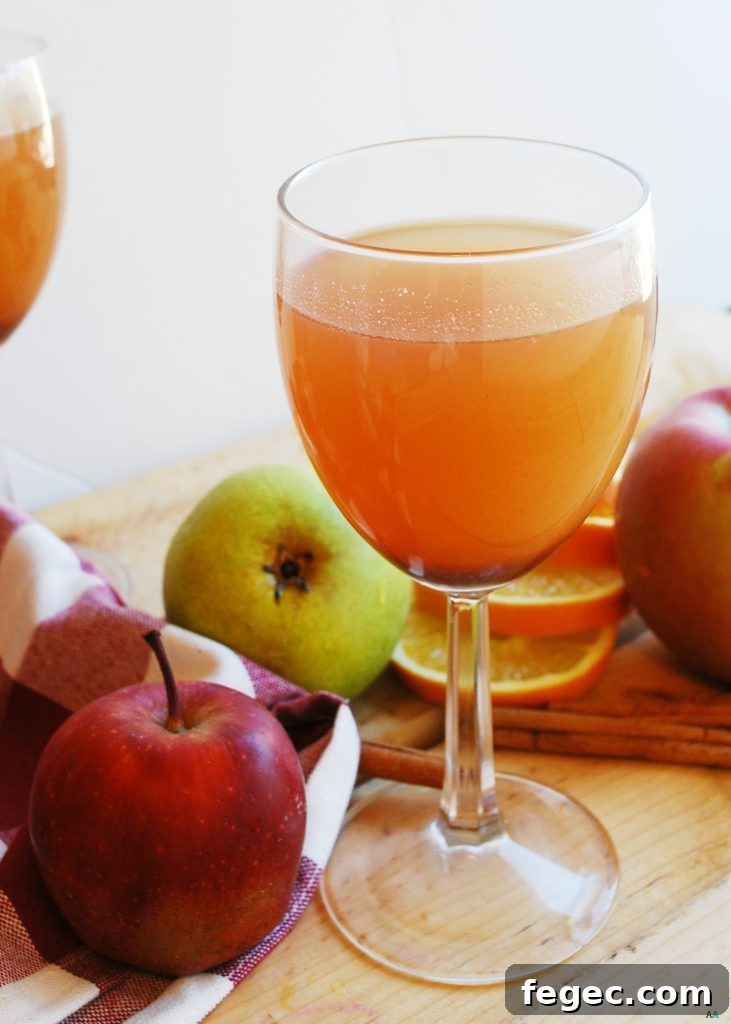 Slow Cooker Apple and Pear Cider Recipe 2 Slow Cooker Apple Pear Cider (Gluten, dairy, egg, soy, peanut & tree nut free; top 8 free; vegan) Drink recipe by AllergyAwesomeness.com
