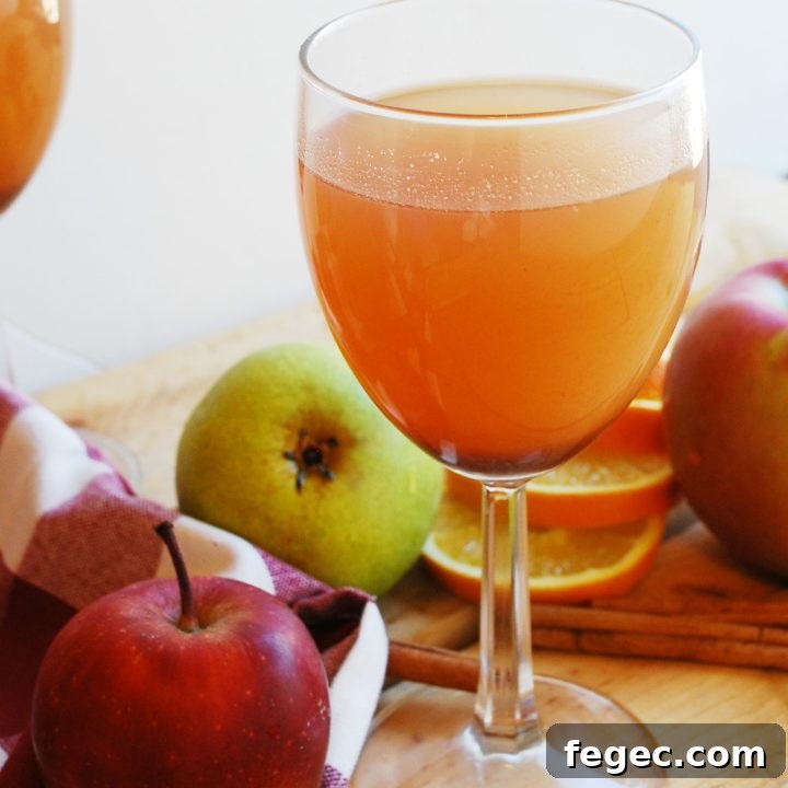 Slow Cooker Apple Pear Cider (Gluten, dairy, egg, soy, peanut & tree nut free; top 8 free; vegan) Drink recipe by AllergyAwesomeness.com