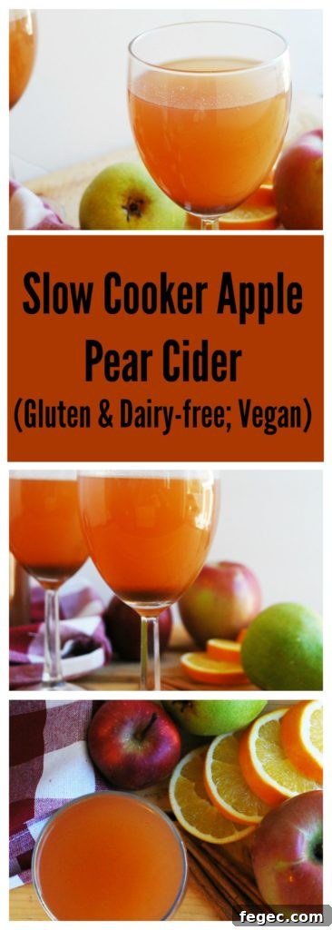 Slow Cooker Apple and Pear Cider Recipe 10 Slow Cooker Apple Pear Cider (Gluten free & Vegan) Drink recipe by AllergyAwesomeness.com