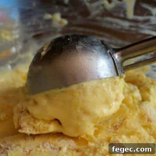 Scooping homemade ice cream from a freezer container.