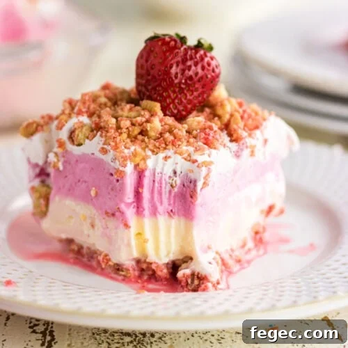 A closeup of the ice cream cake showing the layers.