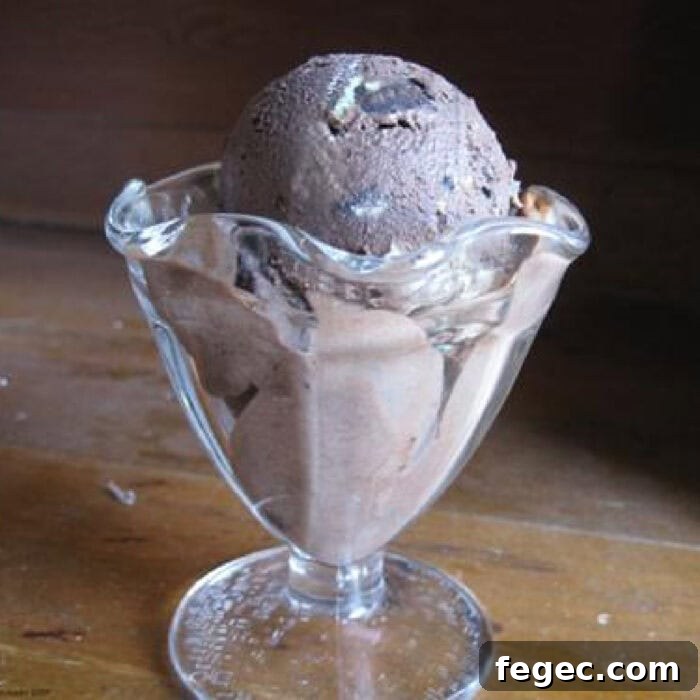 Chocolate Mint Oreo Chunk Ice Cream — Cool Mint Cookies & Cream Delight 9 A scoop of chocolate Oreo ice cream in a glass ice cream dish.