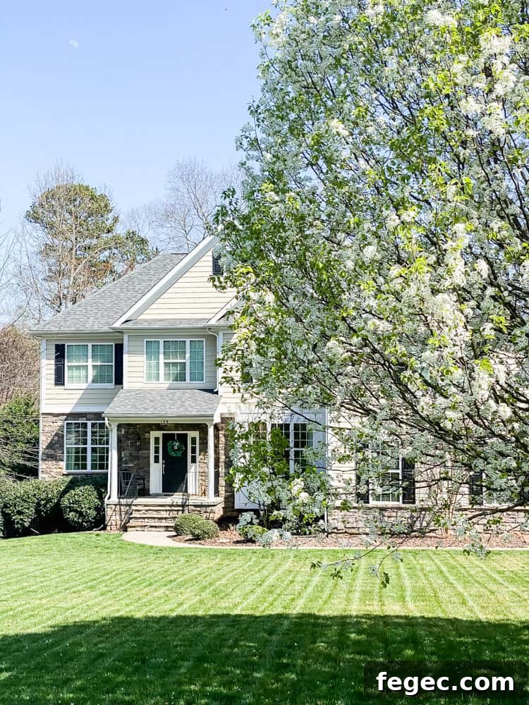 Spring Dining Room Ideas for Greenery Lovers 3 pear tree blooming in front yard with house beyond tree in spring