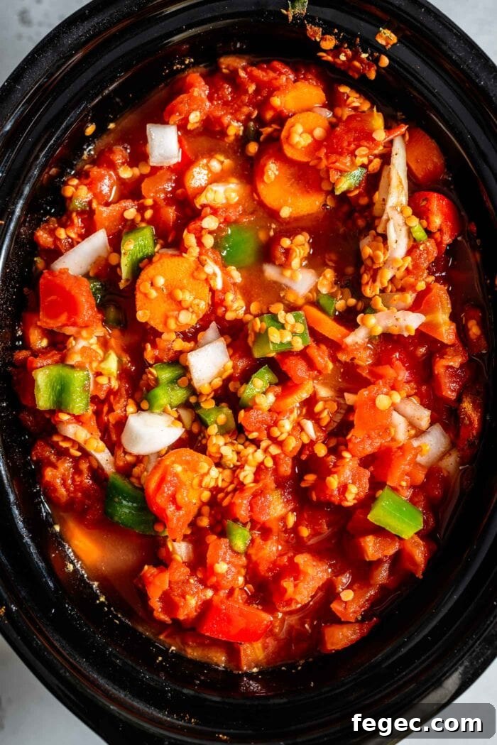 Diced tomatoes, lentils and vegetables in a slow cooker.