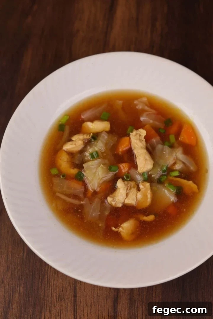 A comforting bowl of Asian style chicken and cabbage soup.