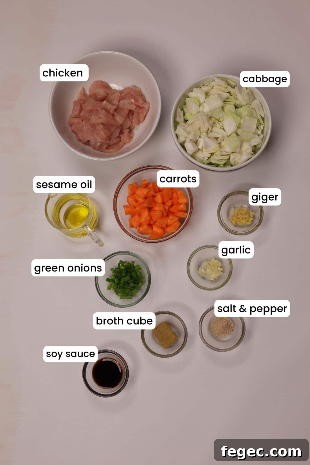 Ingredients for Asian chicken cabbage soup are arranged on a white backdrop.