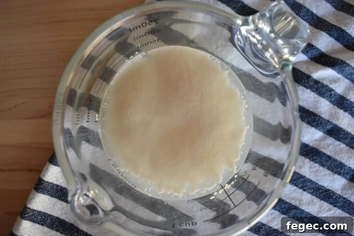 Yeast, water and sugar in a mixing cup.