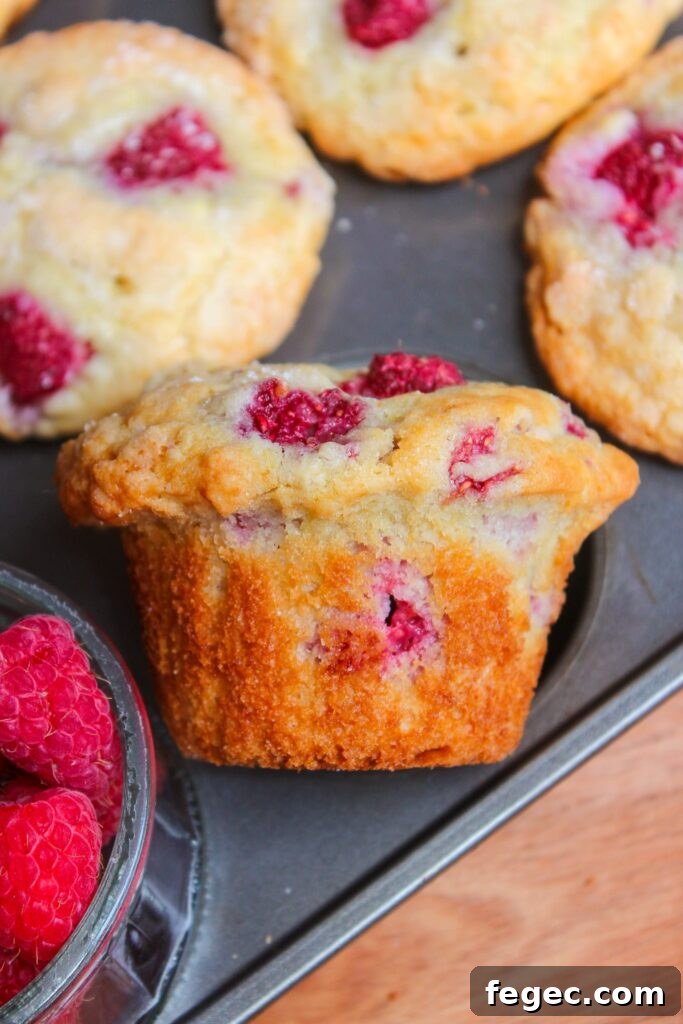 Lemon raspberry muffins