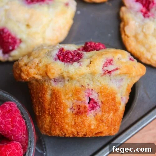 Lemon Raspberry Muffins