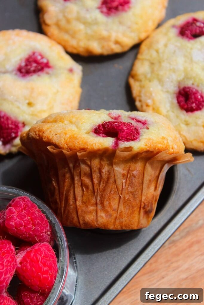 Muffins on a plate