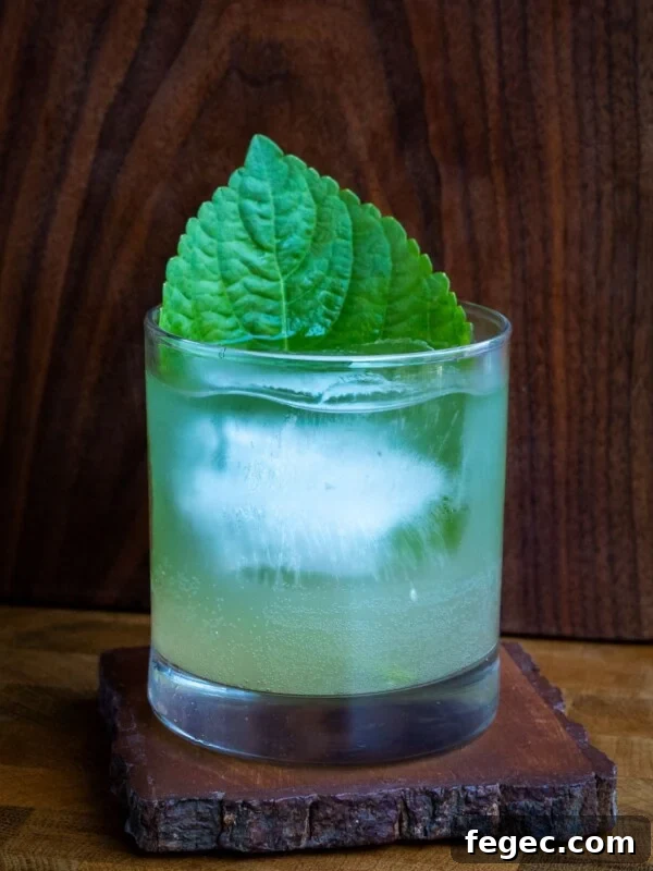 Perilla cucumber mojito