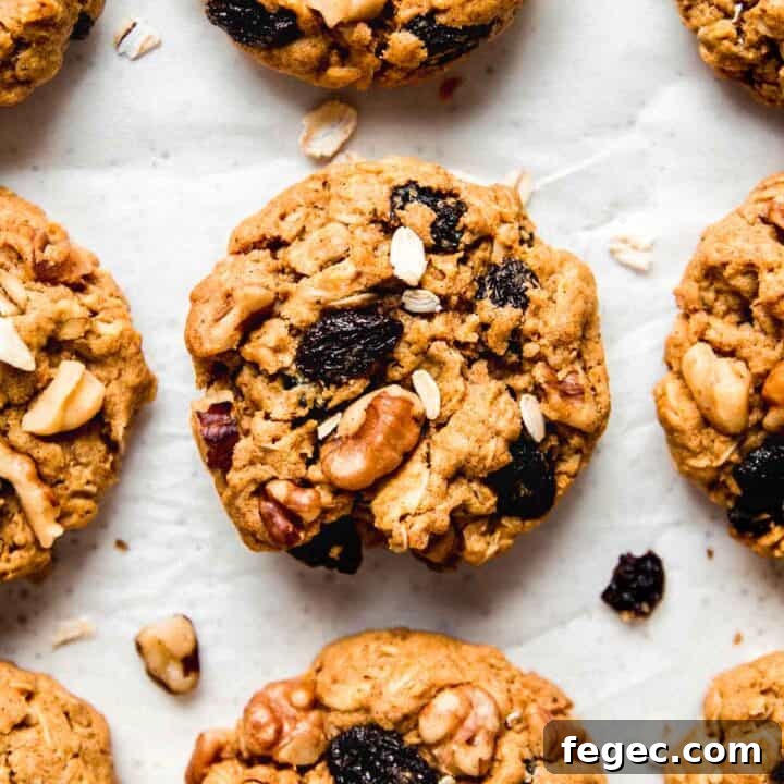 Gluten free pumpkin oatmeal cookies with raisins and walnuts peaking out the tops.