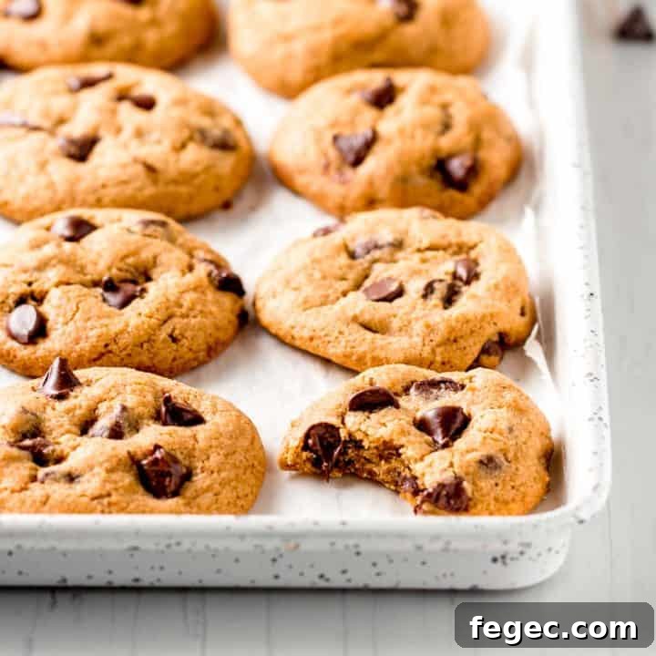 Gluten-free pumpkin chocolate chip cookies lined up on a white cookie sheet.
