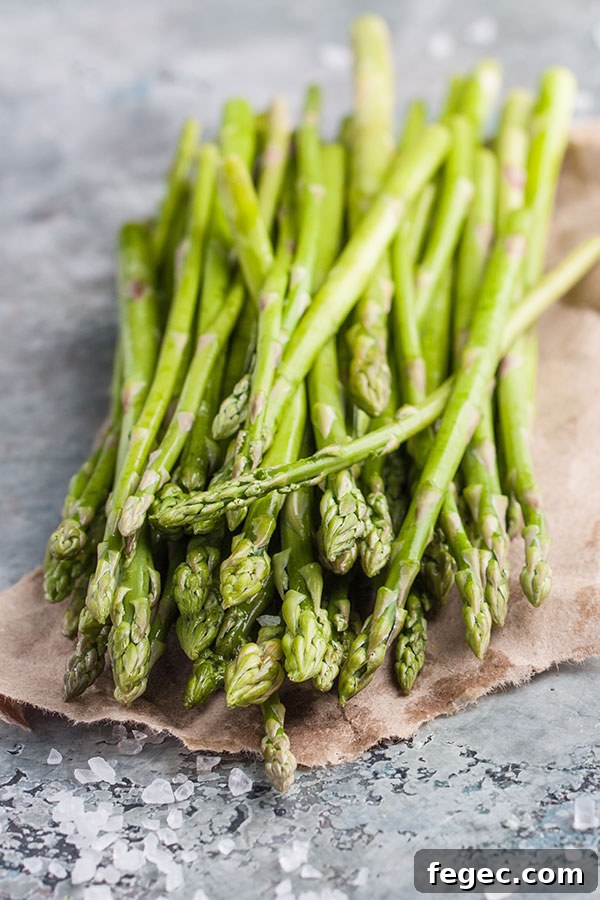 asparagus-fries