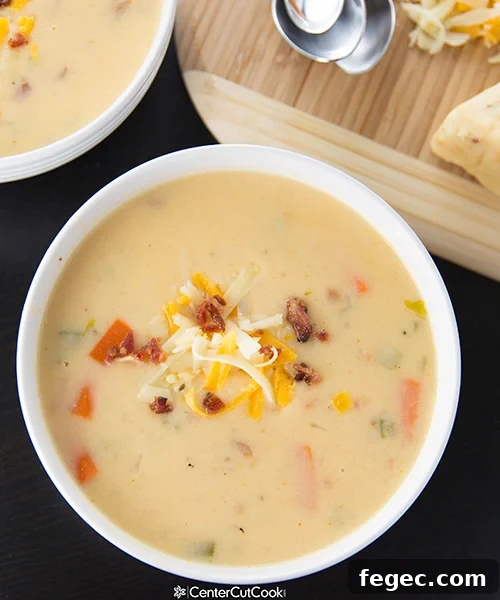 Spicy Wisconsin Cheese  Bacon Soup 4