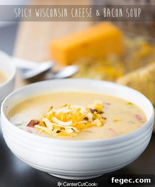 Spicy Wisconsin Cheese  Bacon Soup 5