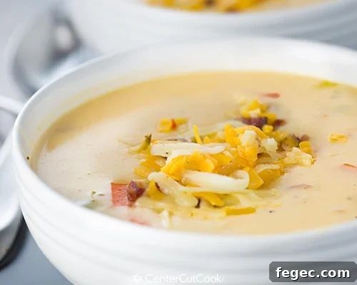 Spicy Wisconsin Cheese  Bacon Soup 6