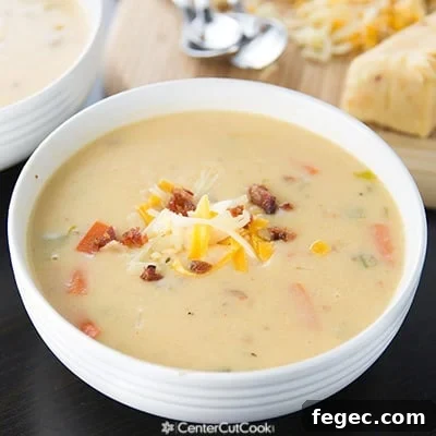Spicy Wisconsin Cheese  Bacon Soup 2