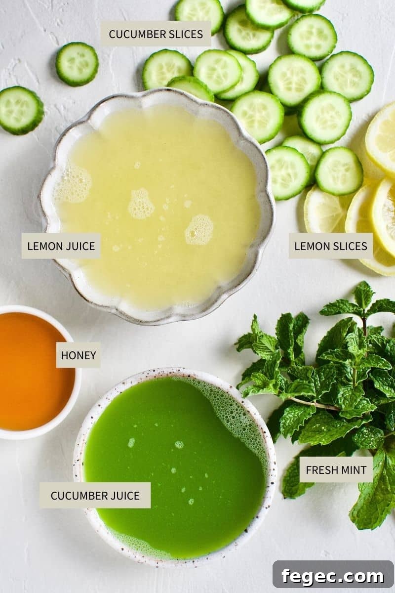 Ingredients needed to make Cucumber Mint Lemonade.