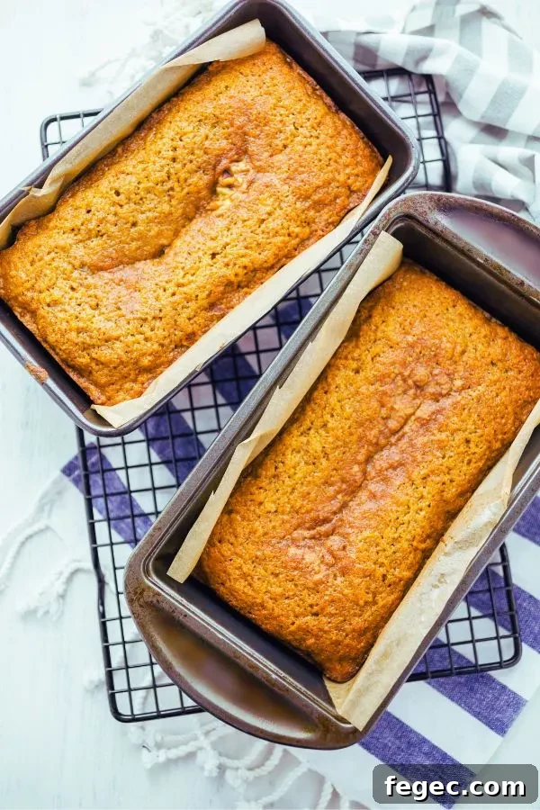 tow loaves of pumpkin bread