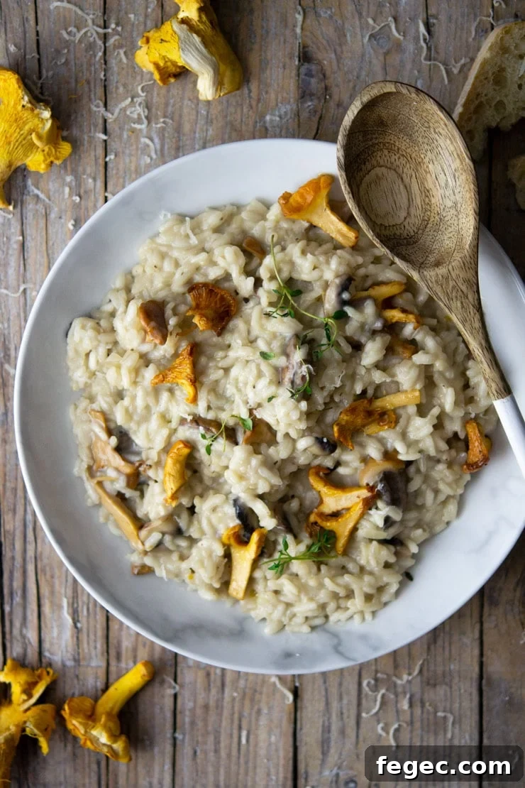 An overhead shot of creamy mushroom risotto with chanterelle mushrooms