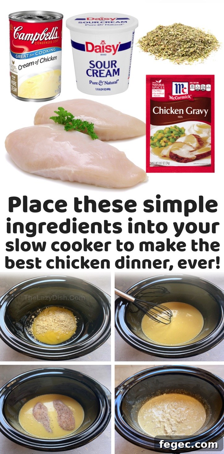 Slow-Cooker Chicken and Gravy Recipe for Tender, Comforting Meals 11 Crockpot Chicken & Gravy (Easy Dinner Recipes) | My family is always looking for new recipes to try, and this slow cooker meal is the best! It's made with just a few cheap ingredients and is great for the entire family, even your picky kids. We like to serve it over mashed potatoes with a side of veggies or salad. So yummy! It's perfect for busy weeknight meals, and is a breeze to just dump into your crockpot. It reminds me of the holidays, warm and comforting.