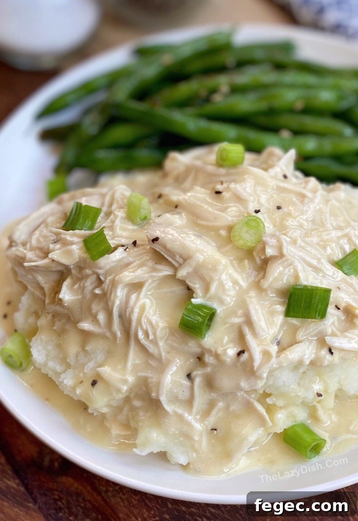 Slow-Cooker Chicken and Gravy Recipe for Tender, Comforting Meals 5 Slow Cooker Shredded Chicken & Gravy -- Easy family dinner recipe! Perfect for busy moms and dads. Made with just a few simple and cheap ingredients.