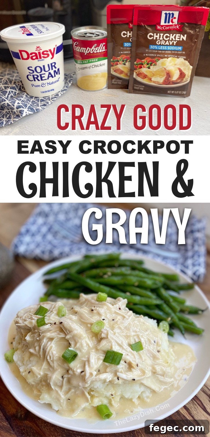 Slow-Cooker Chicken and Gravy Recipe for Tender, Comforting Meals 9 Creamy Slow Cooker Chicken & Gravy -- Looking for family dinner ideas on a budget? This crockpot chicken recipe is so quick and easy to make with simple and cheap ingredients: chicken breasts, cream of chicken soup, sour cream and seasoning. Serve with mashed potatoes, rice or even pasta. It's so good even your kids and picky eaters will LOVE it. This slow cooker dinner recipe is perfect for busy weeknight meals. Serve with a side of veggies to make it healthy. The best crockpot dinner recipe!