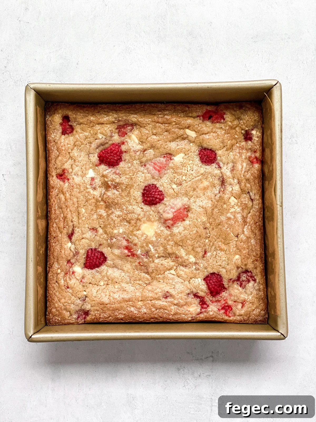 White Chocolate Raspberry Blondies Recipe — Chewy Fruity Bars 14 bars freshly baked