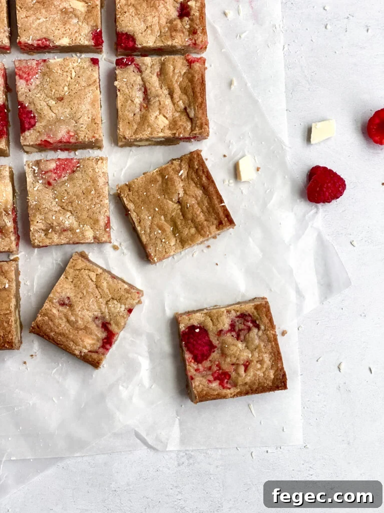 White Chocolate Raspberry Blondies Recipe — Chewy Fruity Bars 15 blondies cut into squares