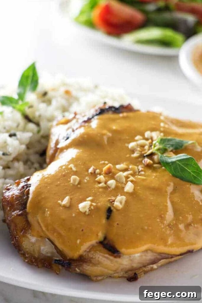 Grilled chicken with peanut sauce, basil, white rice, and salad in background.