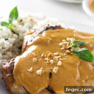 A grilled chicken breast topped with spicy peanut sauce plated with rice.
