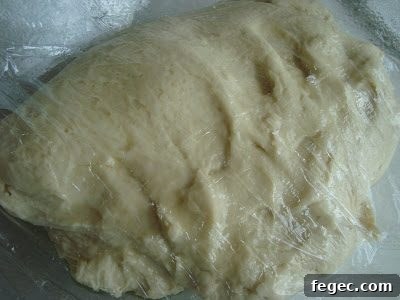 img 2427 2