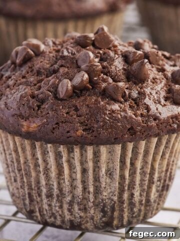 A close-up of a moist and fluffy double chocolate banana muffin with gooey chocolate chips on top.