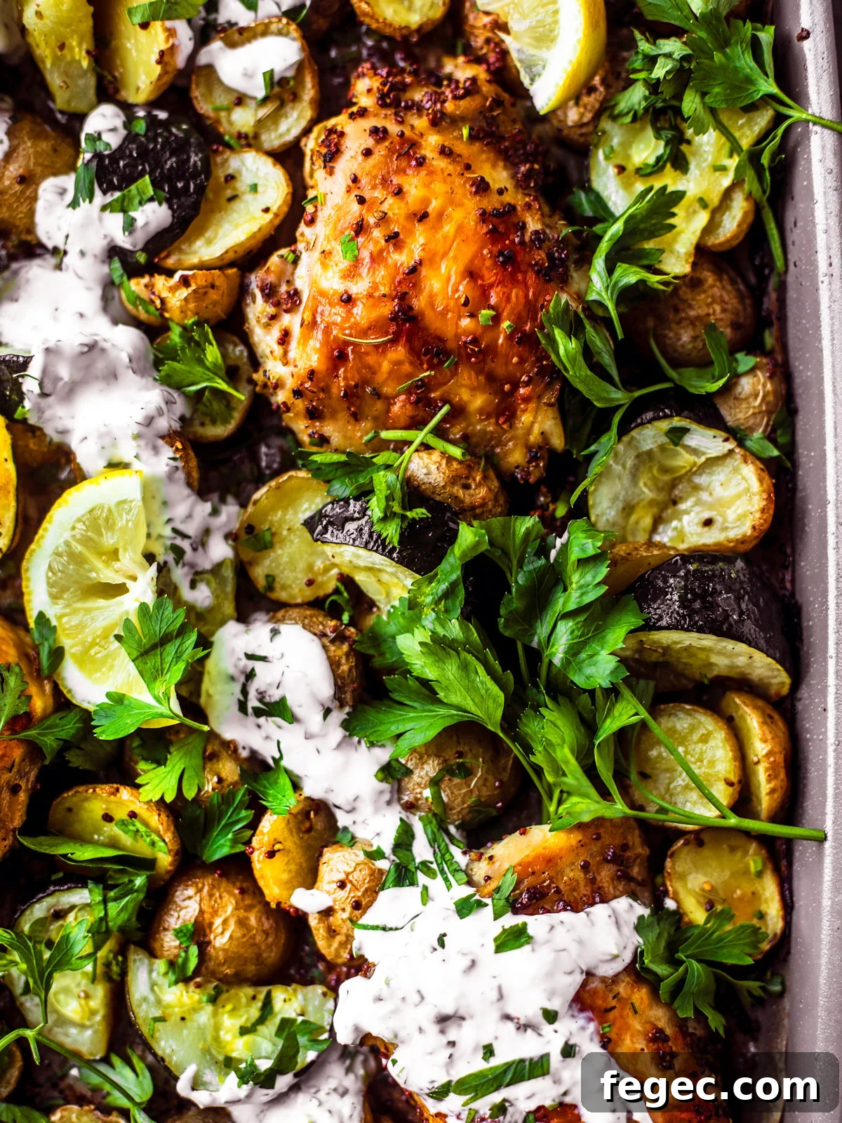 Close up of roasted chicken thighs, zucchini, potatoes, with a drizzle of yogurt sauce and fresh herbs on a sheet pan.
