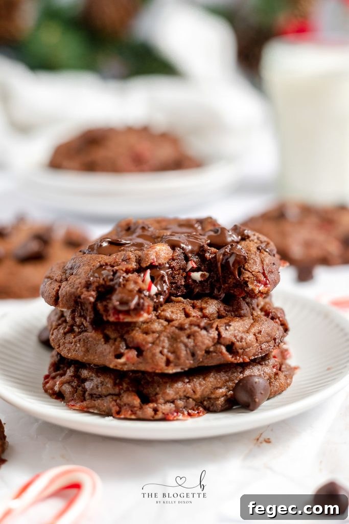 Dark Chocolate Peppermint Cookies - Candy canes in rich chocolate make this a special Christmas cookie. Just like the Levain Bakery recipe! Every bite gives you that warming, holiday feeling!