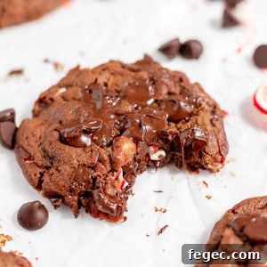 Dark Chocolate Peppermint Cookies - Candy canes in rich chocolate make this a special Christmas cookie. Just like the Levain Bakery recipe! Every bite gives you that warming, holiday feeling!