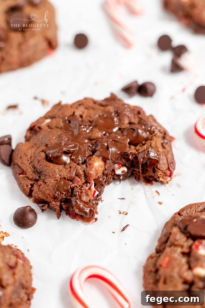 Dark Chocolate Peppermint Cookies - Candy canes in rich chocolate make this a special Christmas cookie. Just like the Levain Bakery recipe! Every bite gives you that warming, holiday feeling!