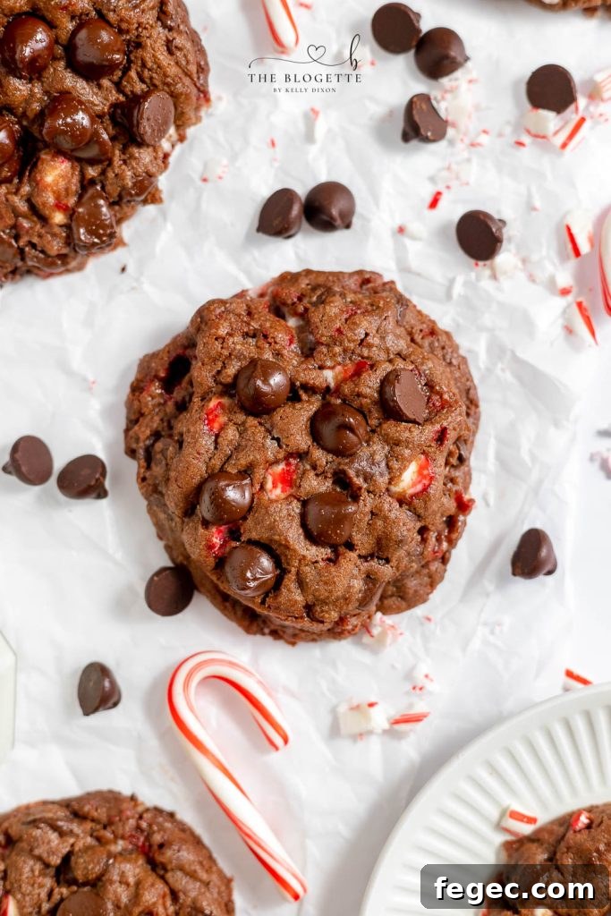 Dark Chocolate Peppermint Cookies - Candy canes in rich chocolate make this a special Christmas cookie. Just like the Levain Bakery recipe! Every bite gives you that warming, holiday feeling!