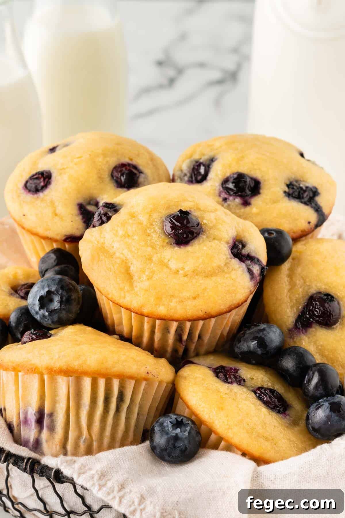 fluffy greek yogurt blueberry muffins